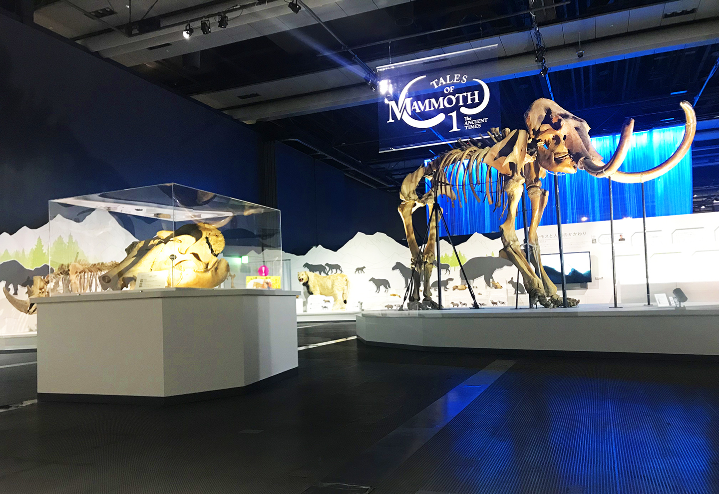 Special Exhibition “The Mammoth”