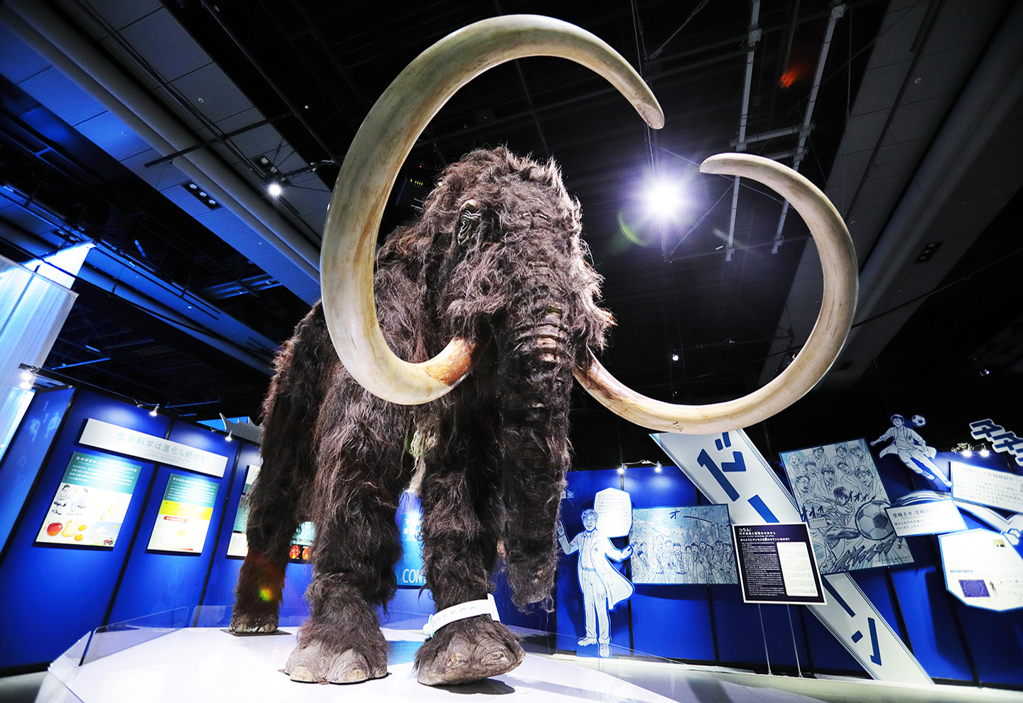 Special Exhibition “The Mammoth”